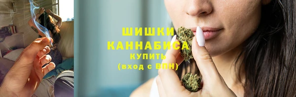 шишки Армянск