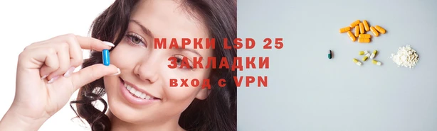 шишки Армянск