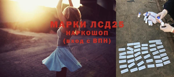 стаф Арсеньев